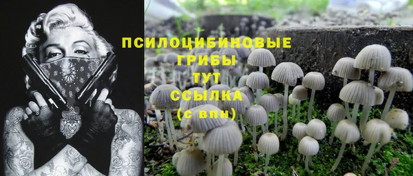 МДПВ Алексеевка